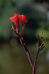Click to see Y-AE-2003-EDIT.JPG
