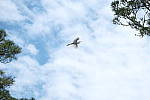 Click to see Y-AE-2032.JPG