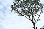 Click to see Y-AE-2034.JPG