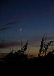 Click to see Y-AE-2077-EDIT.JPG