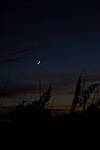 Click to see Y-AE-2077.JPG