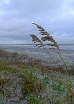 Click to see Y-AH-0178-EDIT.JPG