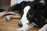 Click to see Y-XF80MM-DSF0025.JPG