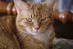 Click to see Y-XF80MM-DSF0040.JPG