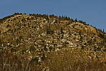 Click to see Y-XF80MM-DSF0249.JPG