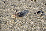 Click to see Y-XF80MM-DSF0284.JPG