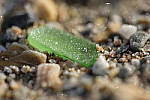 Click to see Y-XF80MM-DSF0308-BOKEH-F4.0.JPG