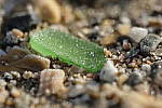 Click to see Y-XF80MM-DSF0309-BOKEH-F5.6.JPG