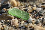 Click to see Y-XF80MM-DSF0310-BOKEH-F8.0.JPG