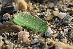 Click to see Y-XF80MM-DSF0311-BOKEH-F11.JPG