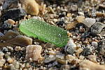 Click to see Y-XF80MM-DSF0312-BOKEH-F16.JPG