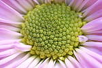 Click to see Y-XF80MM-DSF0372.JPG