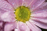 Click to see Y-XF80MM-DSF0384-MOD.JPG