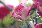 Click to see Y-XF80MM-DSF0457.JPG