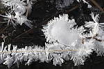 Click to see Y-XF80MM-DSF0685.JPG