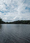 Click to see YX-beta-031-EDIT.JPG