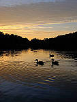 Click to see YX-beta-320-EDIT.JPG