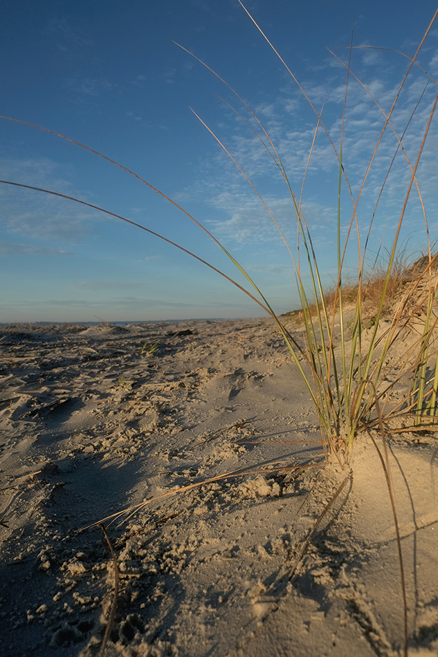 Fuji X-T2 Review - sample gallery image