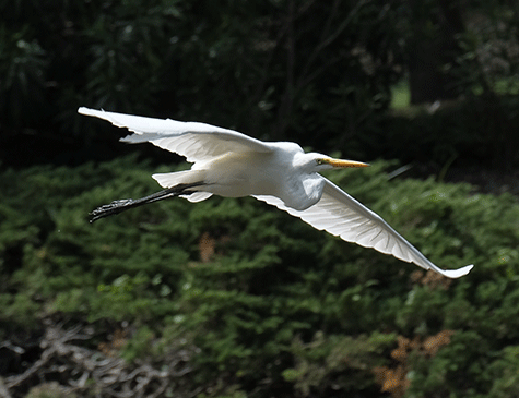 Fuji X-T2 Review - sample gallery image