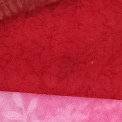 100% crop from Fujifilm X-T2 test image taken at ISO 1600