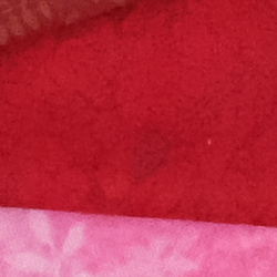 100% crop from Fujifilm X-T2 test image taken at ISO 3200