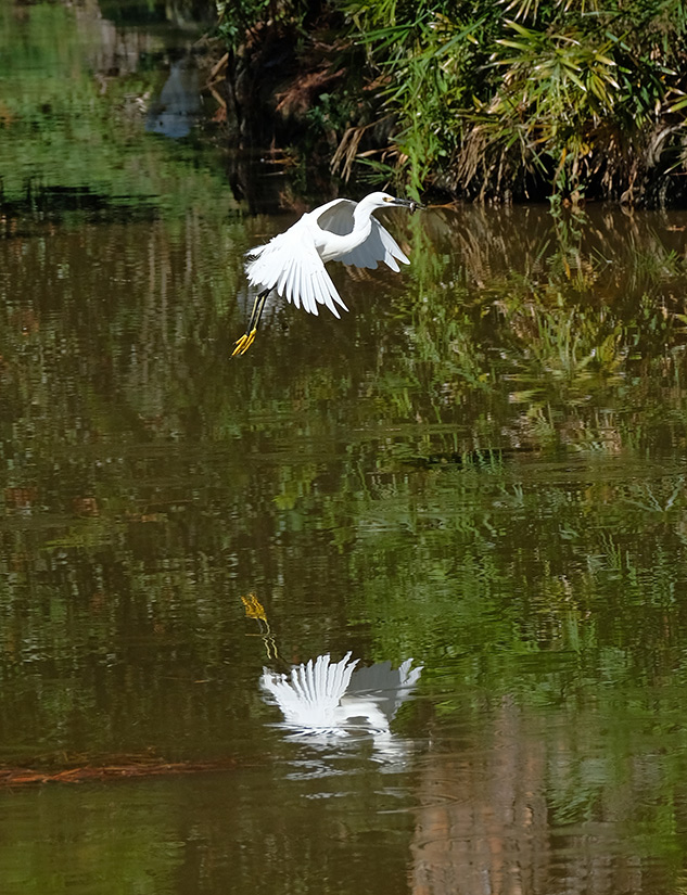 Fuji X-T2 Review - sample gallery image