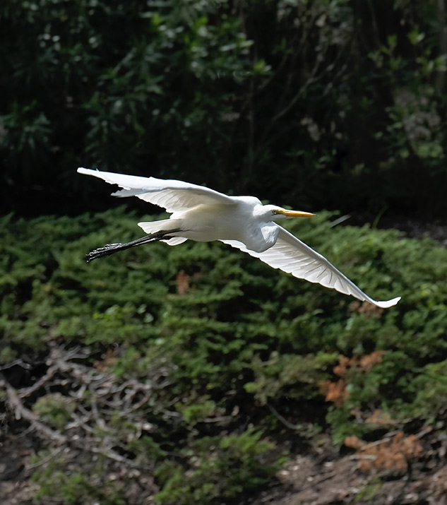 Fuji X-T2 Review - sample gallery image