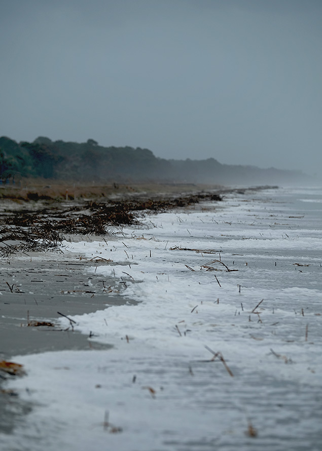 Fuji X-T2 Review - sample gallery from the storm 1