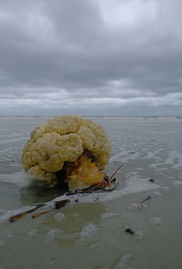Fuji X-T2 Review - storm aftermath 1