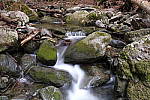 Click to see Y_DSF1373.JPG