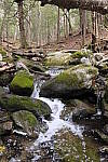 Click to see Y_DSF1377-AUTO.JPG