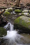 Click to see Y_DSF1392.JPG