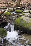 Click to see Y_DSF1393-AUTO.JPG