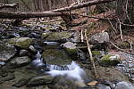 Click to see Y_DSF1405.JPG