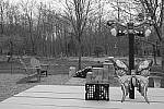 Click to see Y_DSF1460-FILM-SIM-ACROS-R.JPG