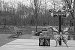 Click to see Y_DSF1464-FILM-SIM-MONO-R.JPG