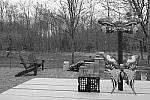 Click to see Y_DSF1465-FILM-SIM-MONO-G.JPG