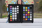 Click to see Y_DSF1481-FRAME-COMP-STILLS.JPG