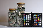 Click to see Y_DSF1493-NOISE-REDUCTION-MINUS4.JPG