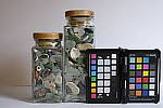 Click to see Y_DSF1495-NOISE-REDUCTION-DEFAULT.JPG