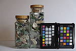 Click to see Y_DSF1502-FLASH.JPG