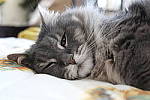 Click to see Y_DSF1532.JPG