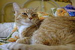 Click to see Y_DSF1568-FLASH.JPG
