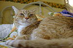 Click to see Y_DSF1570-FLASH.JPG