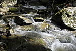 Click to see Y_DSF1604.JPG