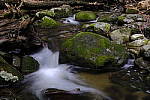 Click to see Y_DSF1634.JPG