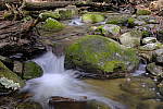 Click to see Y_DSF1635.JPG