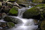 Click to see Y_DSF1645.JPG