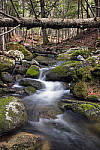 Click to see Y_DSF1653-MOD.JPG