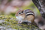 Click to see Y_DSF1763-MOD.JPG